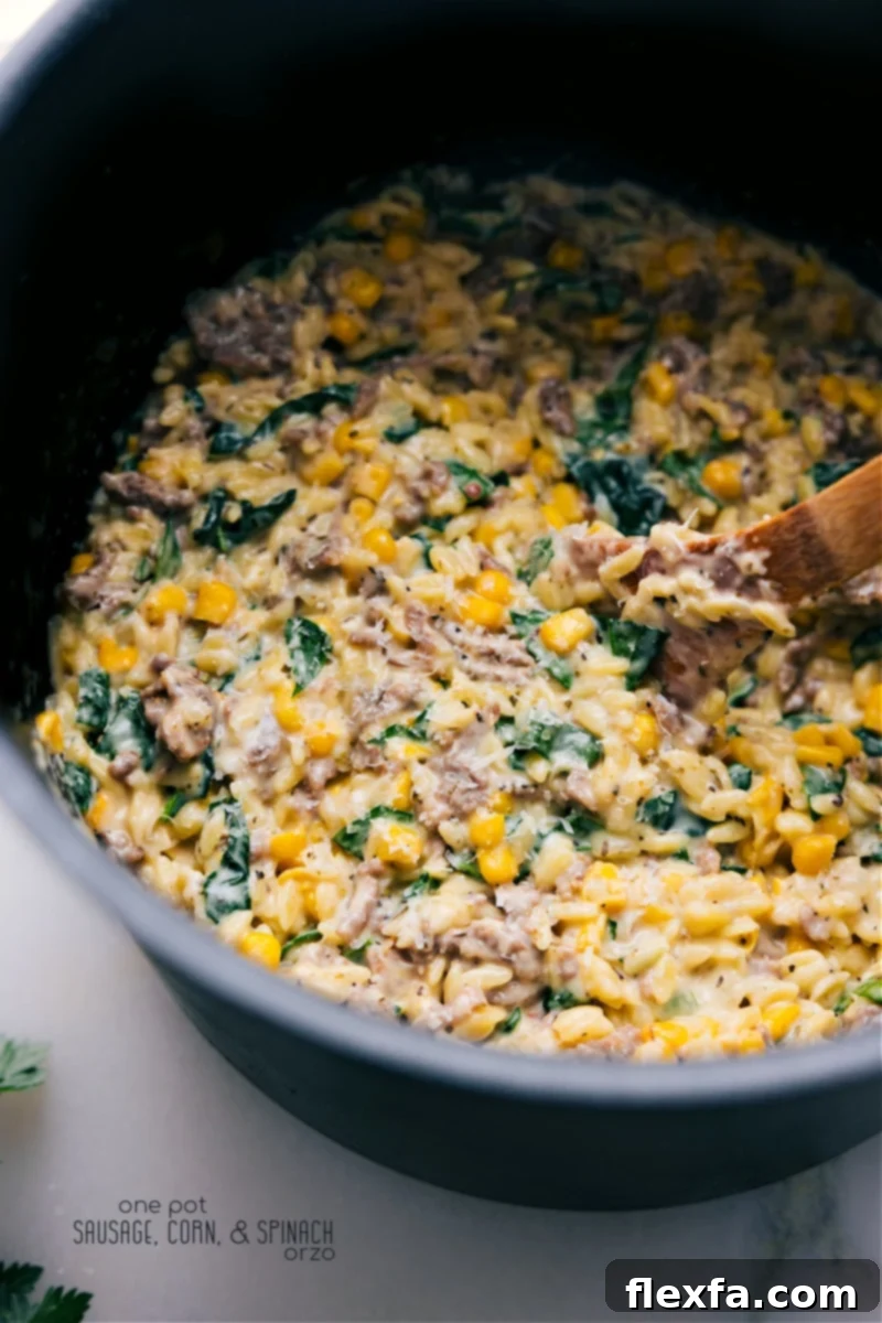 Overhead image of the finished Sausage, Corn, and Spinach Orzo in a bowl