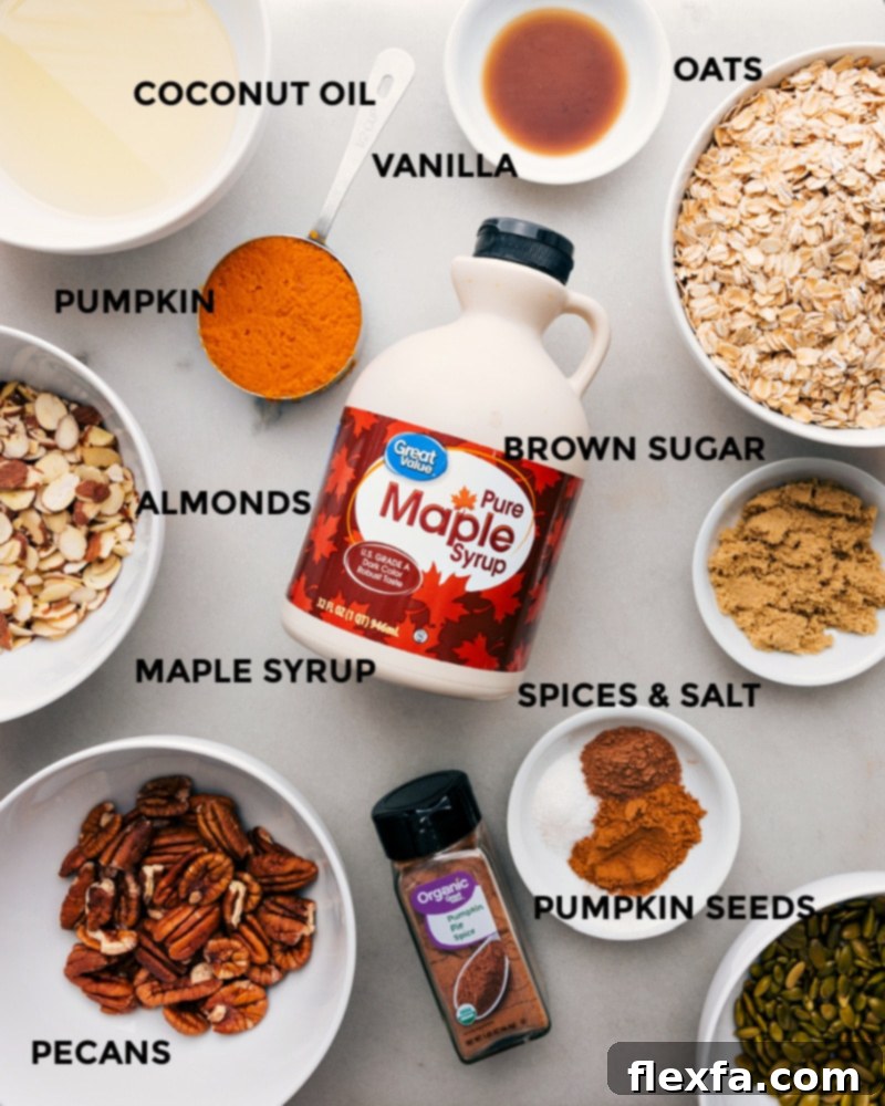 A curated display of all individual ingredients for Pumpkin Granola, including pumpkin puree, oats, maple syrup, nuts, and spices, laid out on a clean surface.