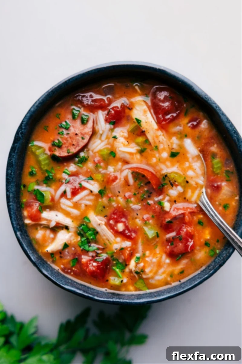 Overhead image of a delicious bowl of Instant Pot Chicken, Sausage, and Rice, garnished with fresh parsley.