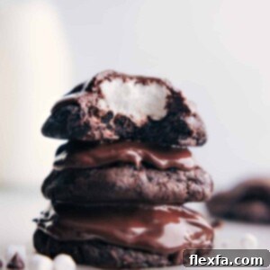 Finished Chocolate Marshmallow Cookies, perfectly topped with melted marshmallow and chocolate.