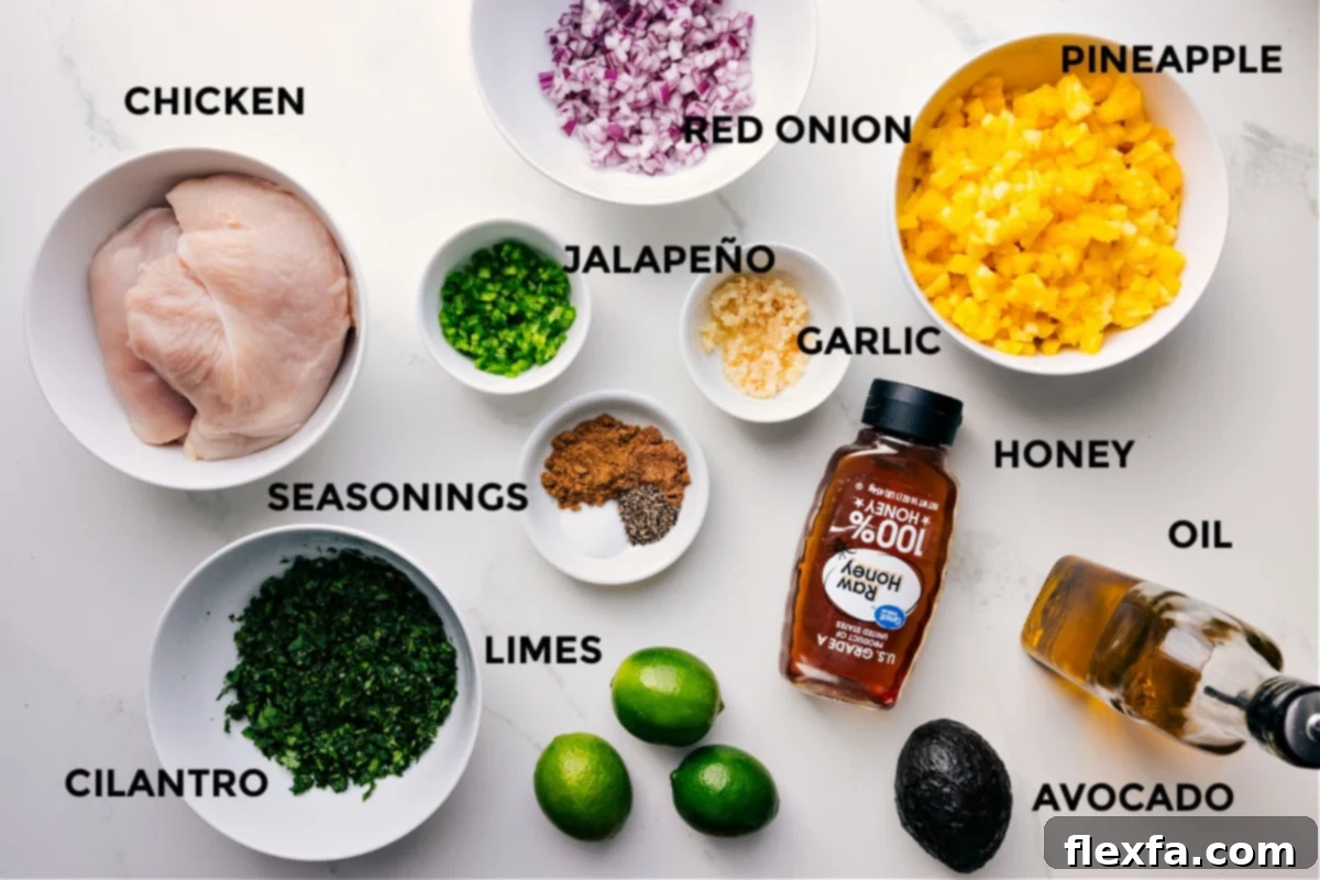 A beautifully arranged spread of all the fresh ingredients needed for Pineapple Chicken and Rice: boneless chicken, vibrant red onion, ripe pineapple chunks, spicy jalapeño, fragrant garlic, golden honey, olive oil, creamy avocado, fresh limes, various seasonings, and aromatic cilantro.