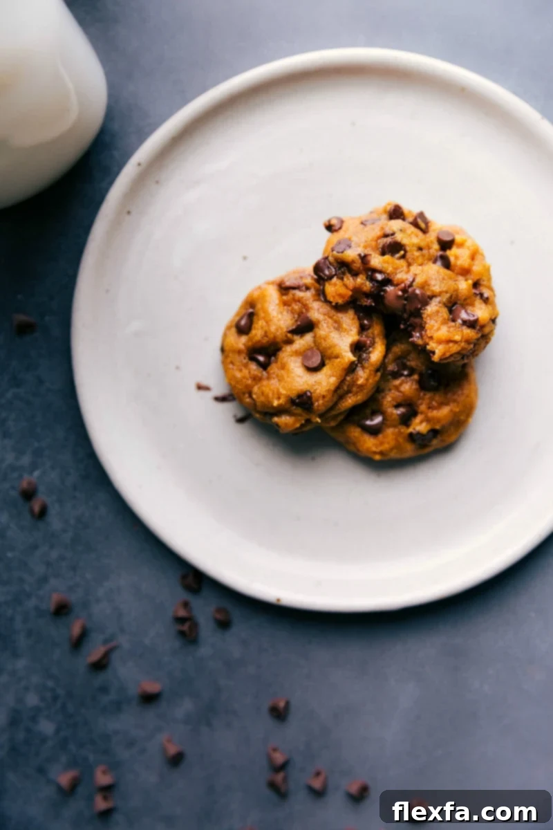 Soft pumpkin chocolate chip cookies on a plate with warm, melting chocolate chips, ready to be enjoyed.