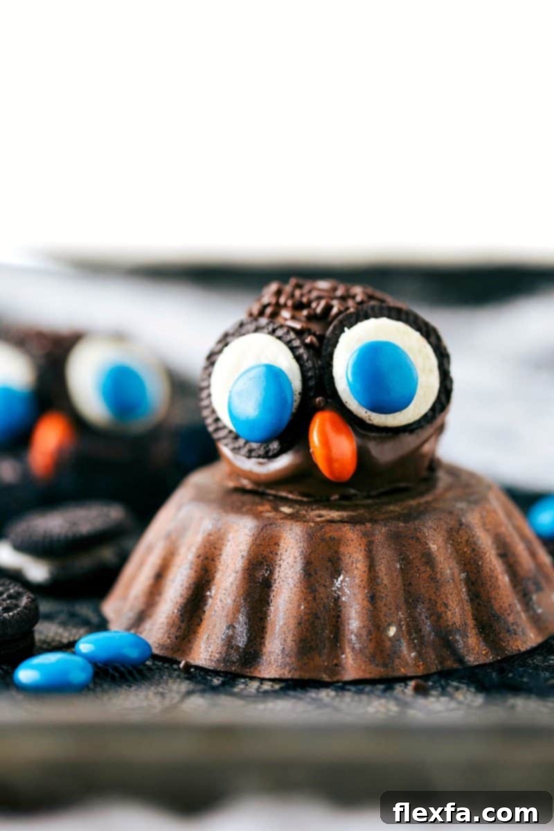 A wise Owl Oreo Truffle with mini Oreo eyes, M&M beak, and chocolate jimmies, a unique Halloween treat idea.