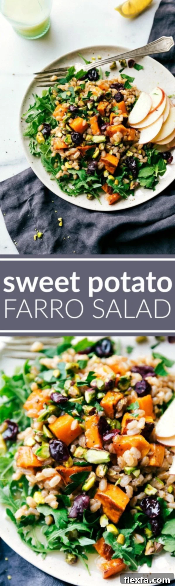 ROASTED SWEET POTATO SALAD. A hearty, healthy, and filling salad -- sweet apple cider farro, roasted sweet potatoes, arugula, and an easy blender lemon dressing.