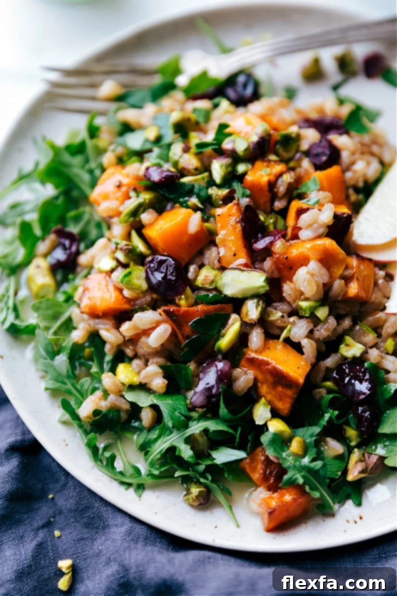 Overhead image of the Sweet Potato-Farro Salad featuring colorful ingredients like farro, sweet potato, cranberries, pistachios, and greens.