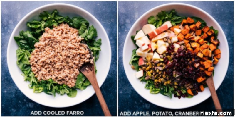 Process shots: adding cooled farro to salad greens, then topping with apple, roasted sweet potato, dried cranberries, and pistachios.