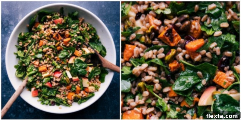 A close-up view of the assembled Sweet Potato Farro Salad, ready to be dressed.