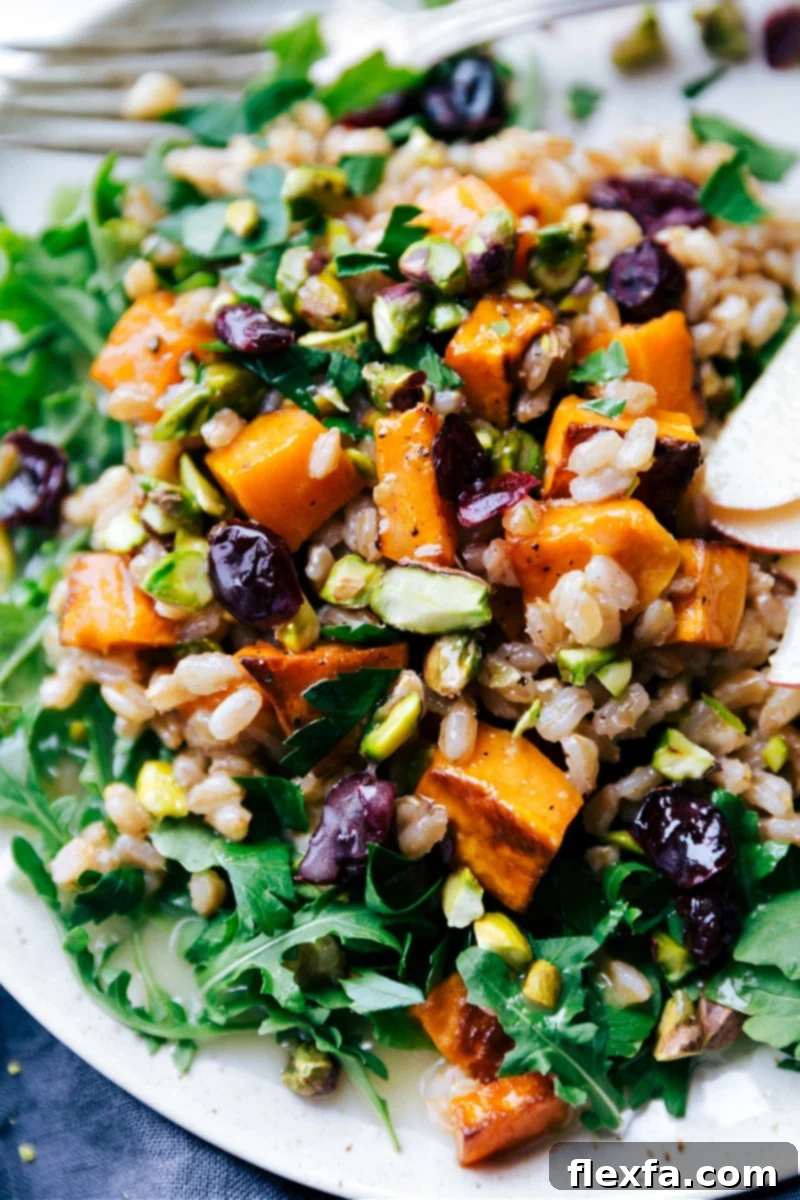 Close-up view of the delicious and vibrant Sweet Potato-Farro Salad, showcasing its inviting textures and colors.