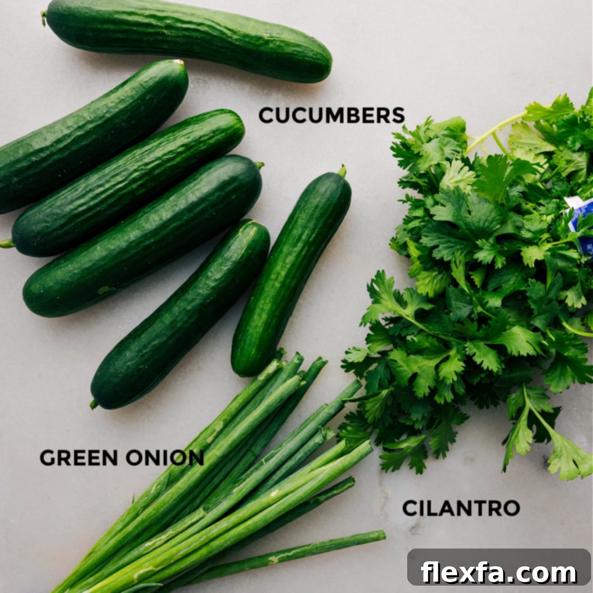The three main ingredients for the Smashed Cucumber Salad: fresh cucumbers, vibrant green onions, and aromatic cilantro, all neatly arranged.