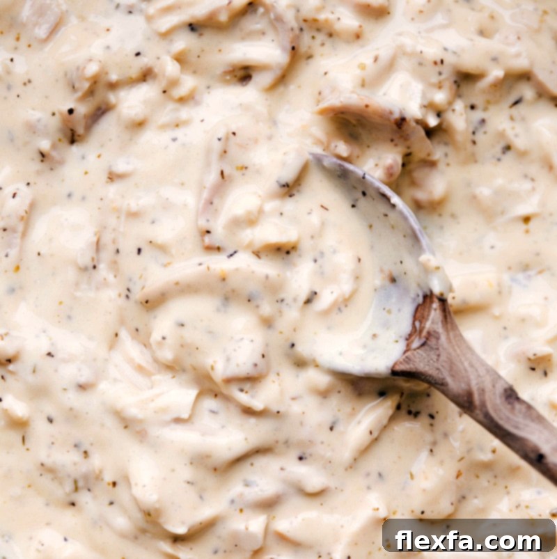 The Heart of Hawaiian Haystacks: Rich & Creamy Chicken Gravy A close-up of the delicious and enticing chicken gravy, showcasing its rich, creamy texture, ready to be served.