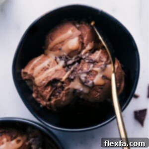 Healthy Chocolate Ice Cream made with sweet potatoes