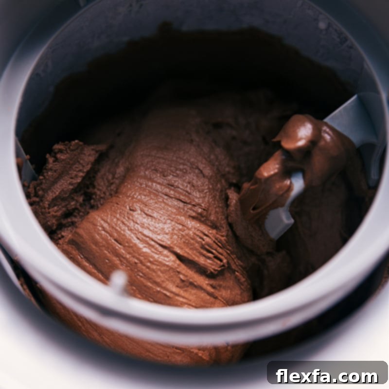 Deliciously Wholesome Ice Cream Delights 5 A container of freshly churned healthy ice cream being placed into the freezer for final hardening.