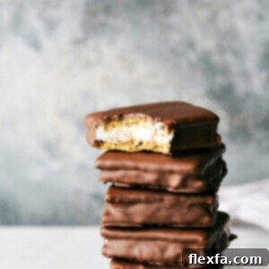 Homemade S'mores Sandwich Cookies