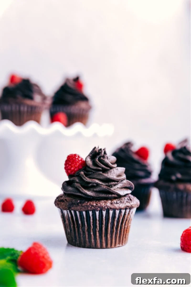 Decadent cake mix cupcakes adorned with generous swirls of rich chocolate buttercream frosting.