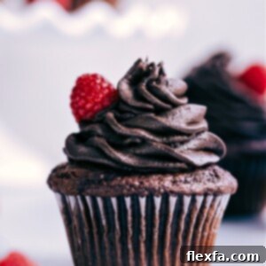 Finished chocolate cake mix cupcakes with buttercream frosting.