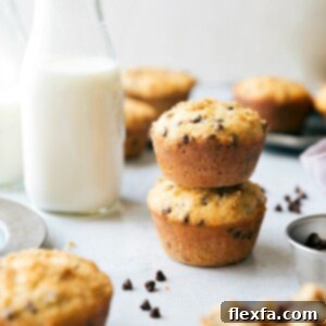A close-up of a freshly baked healthy chocolate chip muffin.