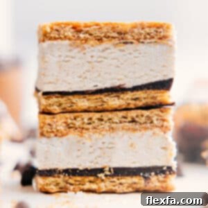 Frozen Protein S'mores with graham crackers, chocolate, and creamy filling.