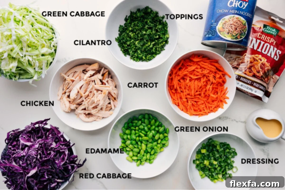 Fresh ingredients for Asian Slaw recipe including shredded green cabbage, red cabbage, carrots, cilantro, green onions, edamame, bell pepper, and all dressing components prepped and ready for mixing.