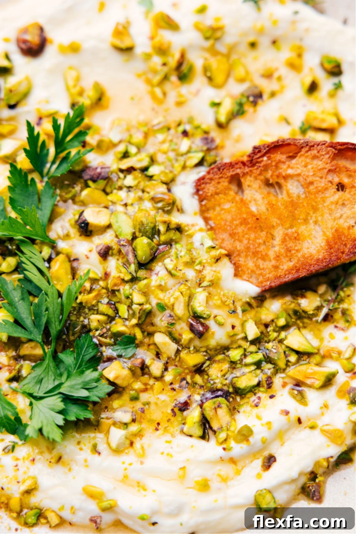 Quick, Easy, And Delicious Whipped Feta Recipe Creamy whipped feta dip served in a shallow bowl with a toasted cracker dipping in, garnished with honey and pistachios.