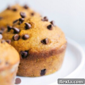 Close-up of a single Pumpkin Chocolate Chip Muffin, showcasing its moist texture and melty chocolate chips.