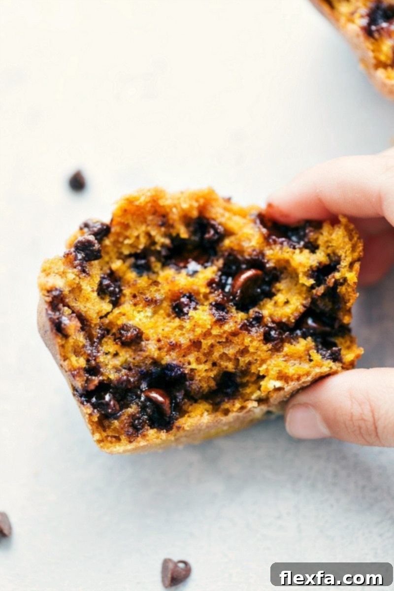 Freshly baked Pumpkin-Chocolate Chip Muffins cooling on a wire rack, with steam gently rising