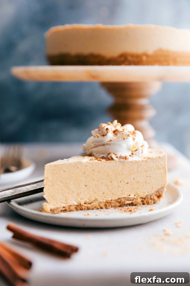 A perfect slice of no-bake pumpkin cheesecake, elegantly topped with a swirl of fluffy whipped cream, capturing the essence of fall desserts.