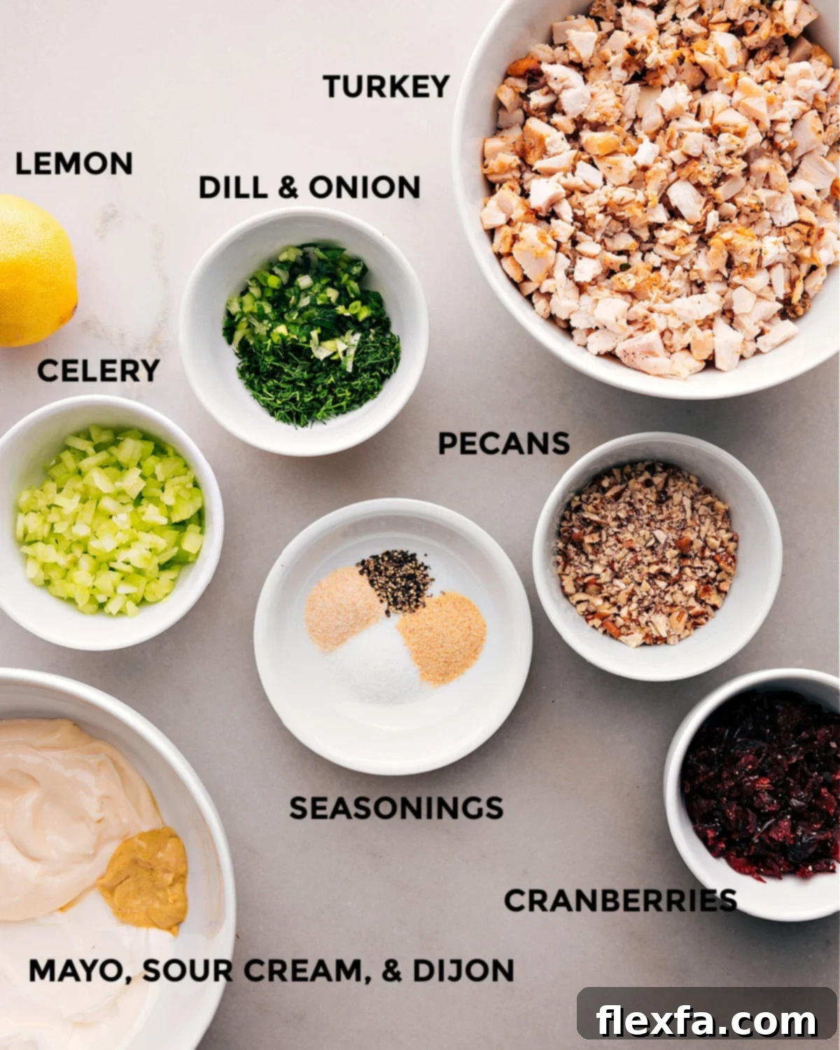 A colorful array of ingredients for turkey salad, including roasted turkey, celery, green onions, dried cranberries, pecans, fresh dill, mayonnaise, sour cream, Dijon mustard, lemon juice, and seasonings.