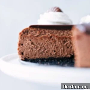 Chocolate Cheesecake