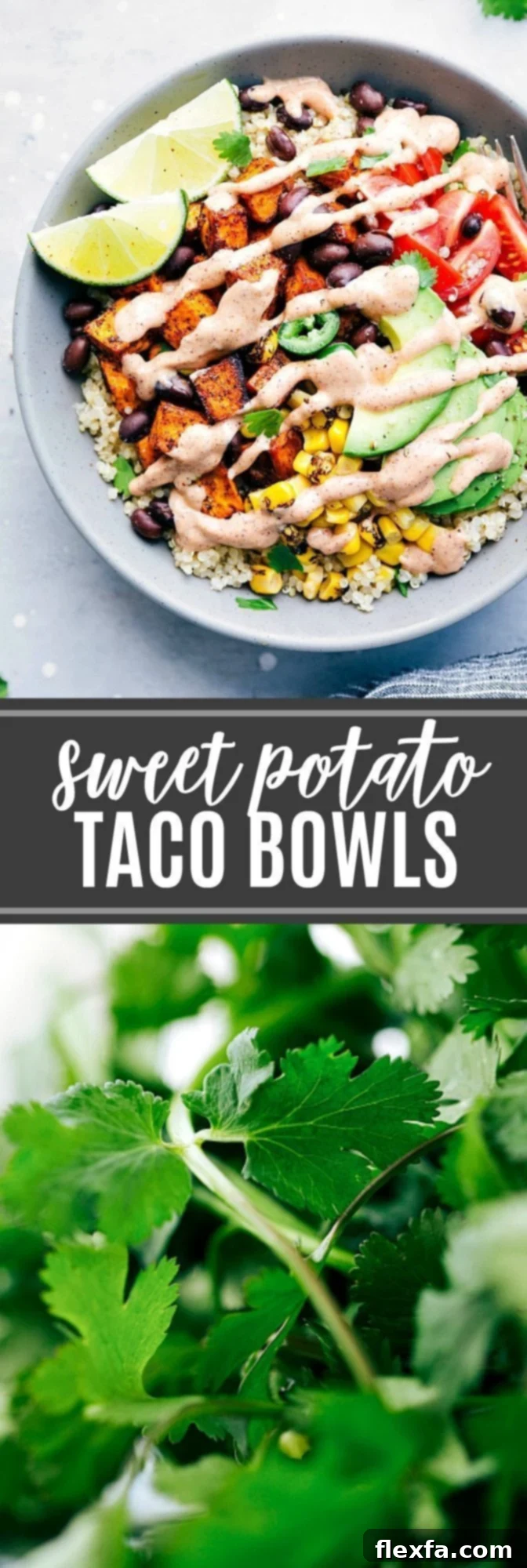 The ultimate BEST EVER sweet potato taco bowls! A hearty, healthy, and flavorful meatless meal perfect for any day of the week, straight from chelseasmessyapron.com