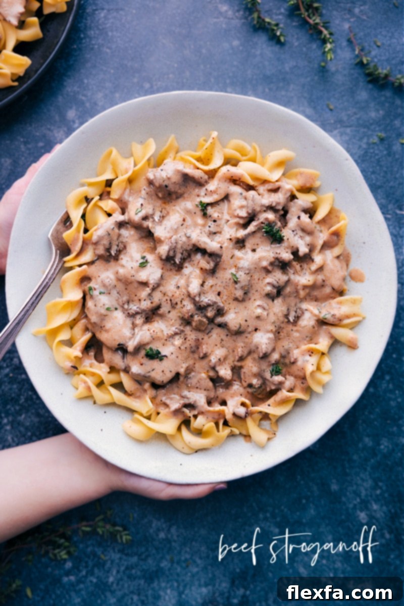 Overhead image of the beef stroganoff