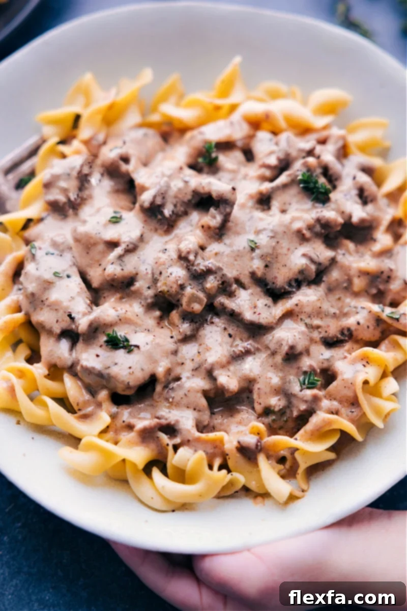 Up close overhead image of the beef stroganoff ready to be enjoyed