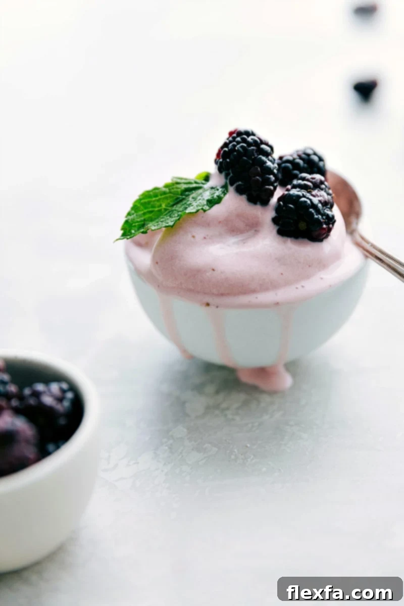 Strawberry Frozen Yogurt topped with fresh blackberries