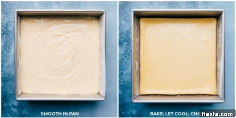 Freshly baked smooth and creamy vanilla cheesecake bars cooling. Images of vanilla cheesecake bars freshly baked and cooling in the pan.