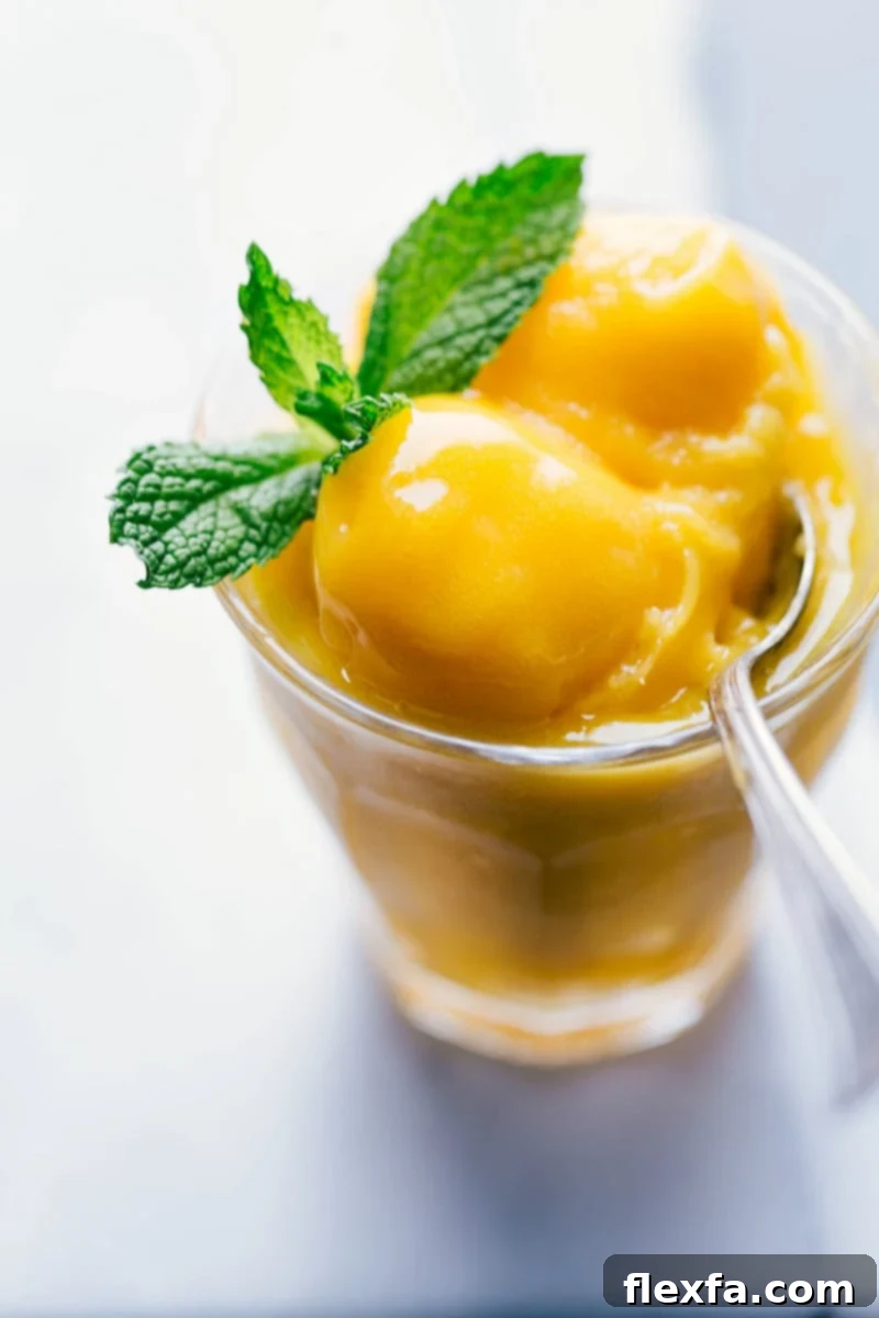 Image of Mango Sorbet in a cup, garnished with mint