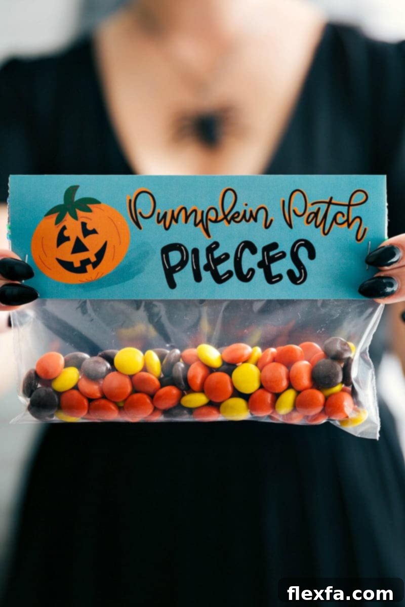 6 fun and festive easy Halloween bags filled with delicious treats! These candies/treats are put in a snack-size ziplock bag and you can staple on the FREE printable bag toppers! via chelseasmessyapron.com #halloween #gift #favor #party #dessert #candy #treat #easy #quick #free #printable #witch #pumpkin #dracula #zombie #mummy #ghost #skeleton #monster #zombies #kids #healthy #healthier #simple #fun #halloween #decor Pumpkin Patch Pieces Halloween treat bag featuring Reese's Pieces with a cute pumpkin-themed printable topper.