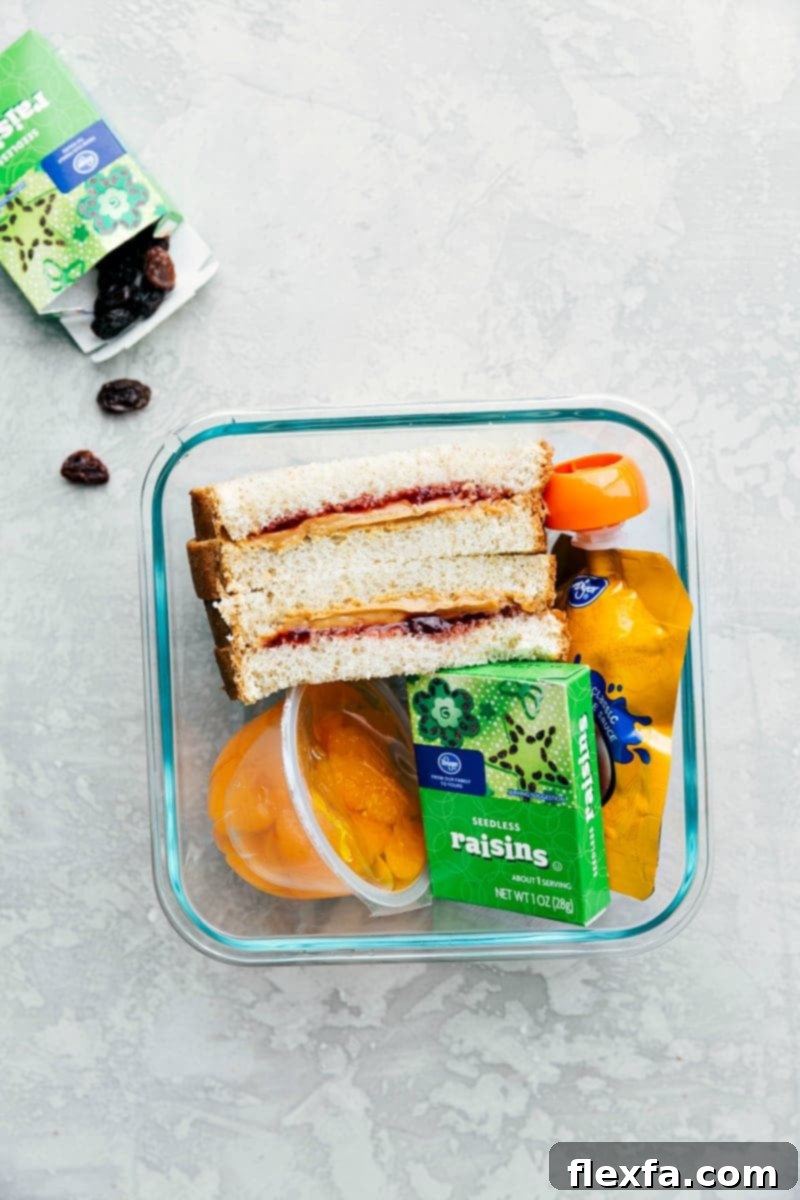 A container filled with a peanut butter and jam sandwich, raisins, mandarin oranges, and apple sauce, all neatly arranged and ready to go.
