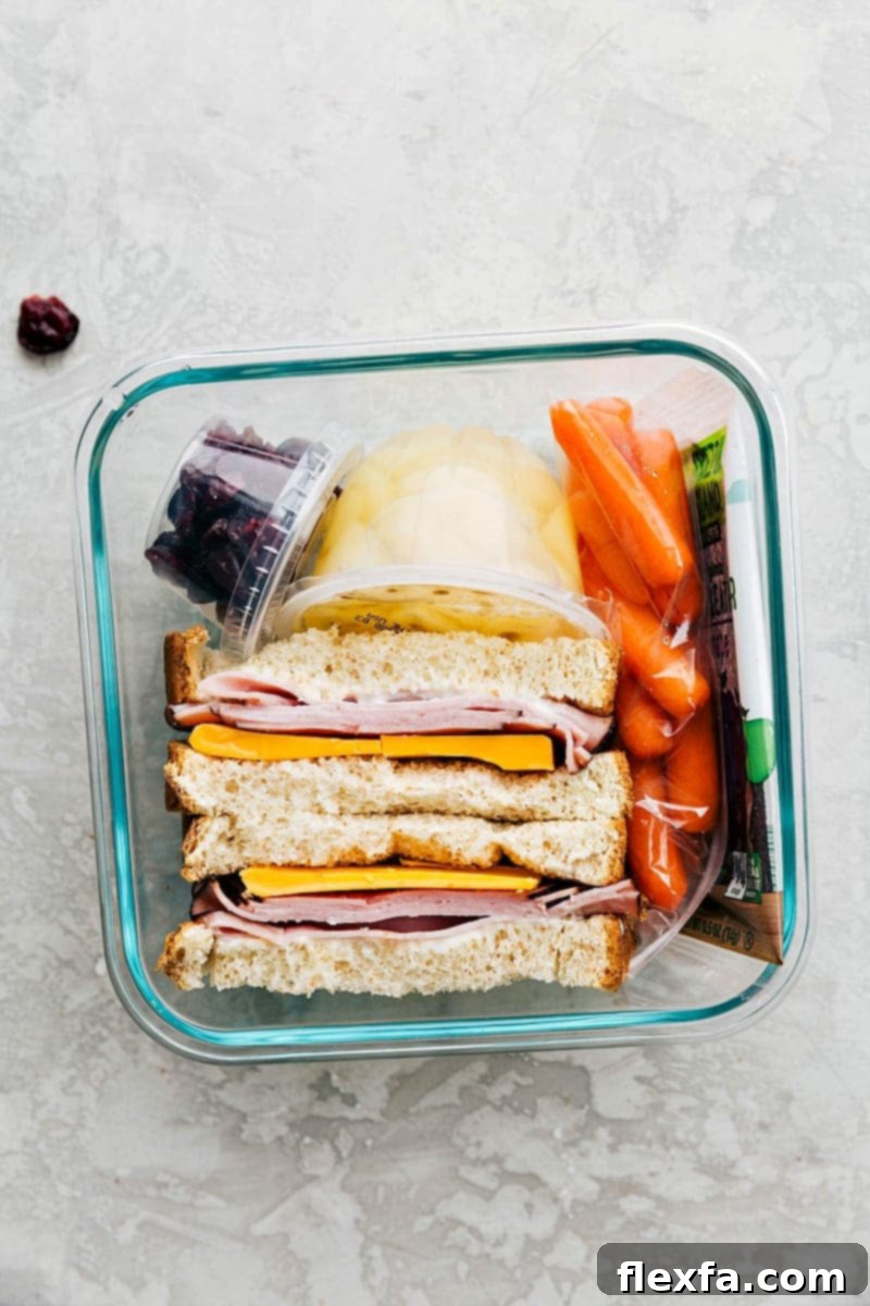 A meat and cheese sandwich, fresh fruit, veggies, and a snack, all packed in a container and ready to go.