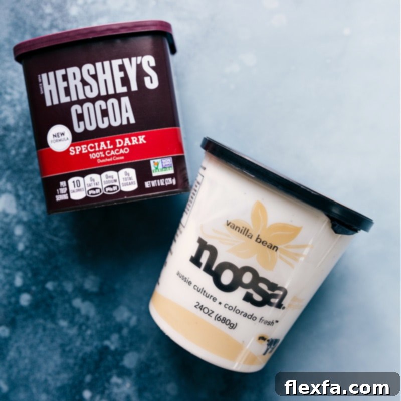 Key Ingredients for the Best Chocolate Frozen Yogurt Ingredient shot-- the cocoa powder and yogurt used in this dessert