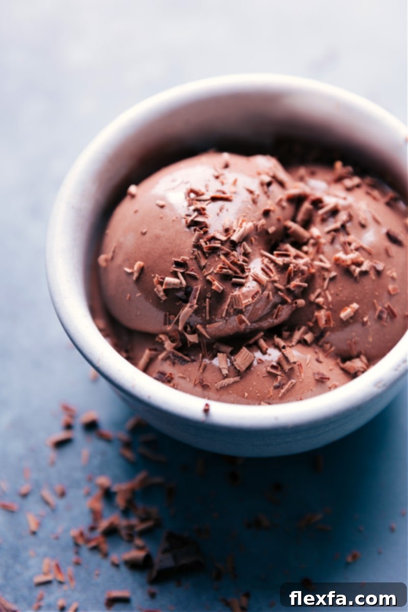 The Best Ever Homemade Chocolate Frozen Yogurt, Ready to Enjoy Chocolate Frozen Yogurt