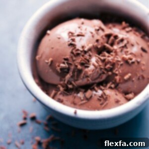 Chocolate Frozen Yogurt