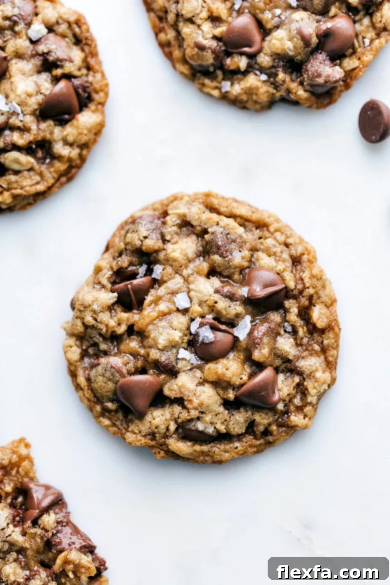 Irresistibly Perfect: An Overhead View of Our Best Oatmeal Chocolate Chip Cookies, Golden Brown with Melted Chocolate. Up-close overhead photo of several freshly baked, perfectly golden, and generously chocolate-filled Oatmeal Chocolate Chip Cookies, showcasing their appealing texture.