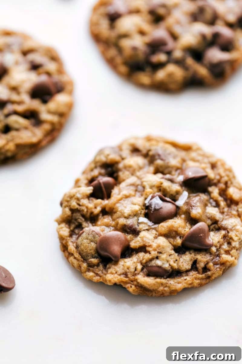 A Stack of Perfection: Soft, Chewy, and Irresistible Oatmeal Chocolate Chip Cookies, Ready to Enjoy. Up-close side angle shot of a stack of perfectly baked Oatmeal Chocolate Chip Cookies, showcasing their soft, chewy texture and visible, melty chocolate chips.