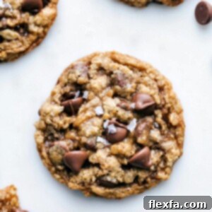 The Best Oatmeal Chocolate Chip Cookies