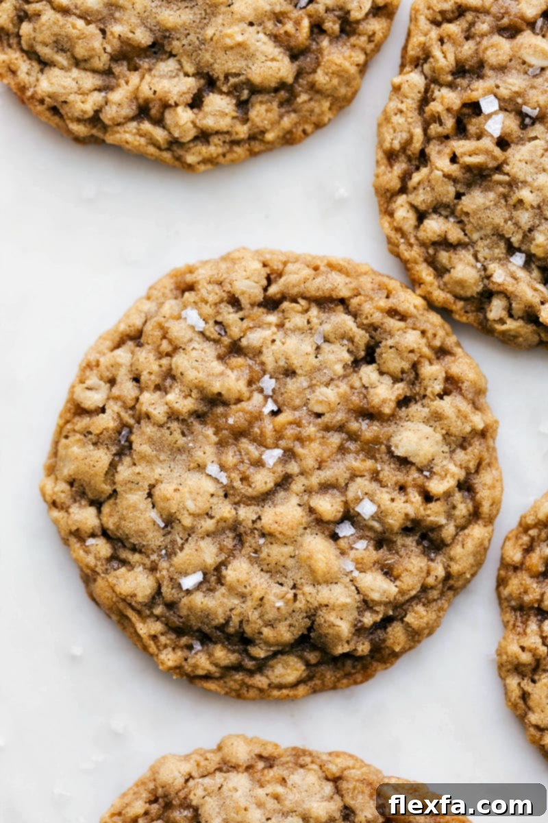 Up-close overhead photo of an Oatmeal Cookie with a sprinkle of sea salt on top, surrounded by more freshly baked cookies
