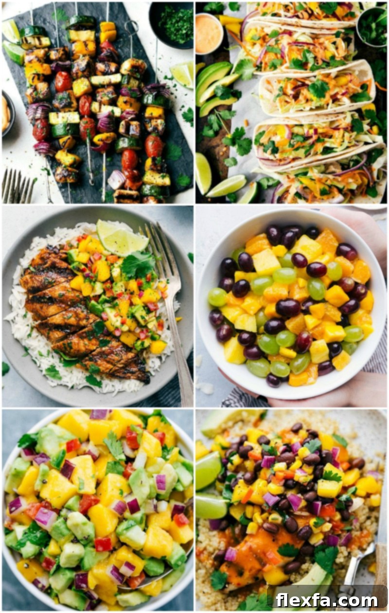 A collage of six different mouth-watering recipes, each prominently featuring fresh mango, including salads, tacos, salsa, and fruit bowls.