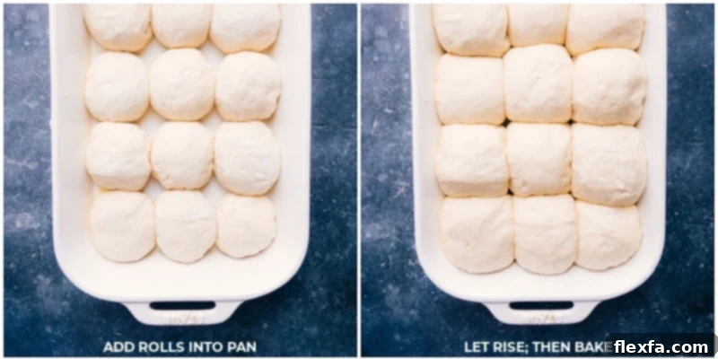 Process shots showing the no-knead dinner rolls rising beautifully in a 9x13-inch baking pan, ready for the oven, highlighting their puffy texture.