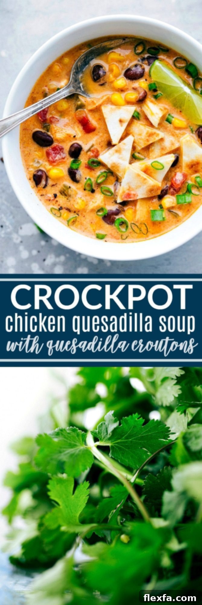Fiesta Chicken Quesadilla Soup 2 The BEST EVER Crockpot Creamy Chicken Quesadilla Soup! Dump it and forget about it and then serve with 2-ingredient quesadilla croutons! flexfa.com