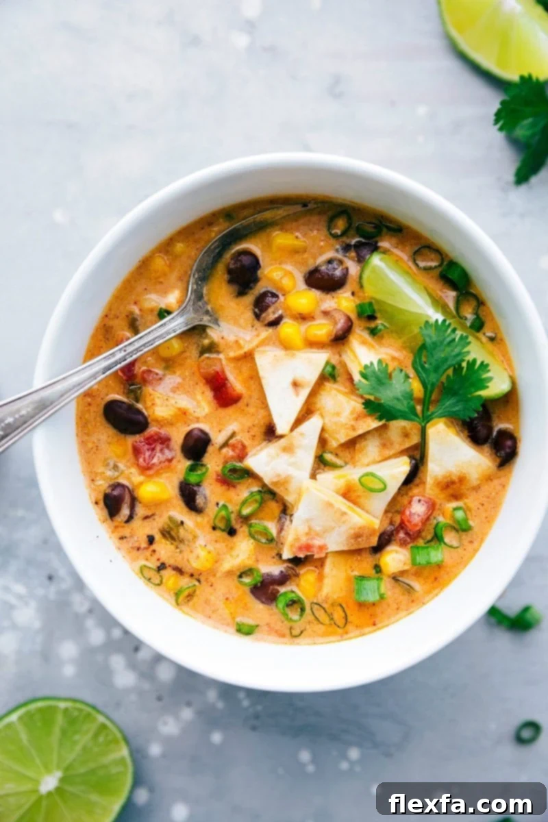 The BEST EVER Chicken Quesadilla Soup! Dump it and forget about it and then serve with 2-ingredient quesadilla croutons! chelseasmessyapron.com #chicken #quesadilla #soup #crockpot #slowcooker Overhead image of the chicken quesadilla soup ready to eat with a spoon in it
