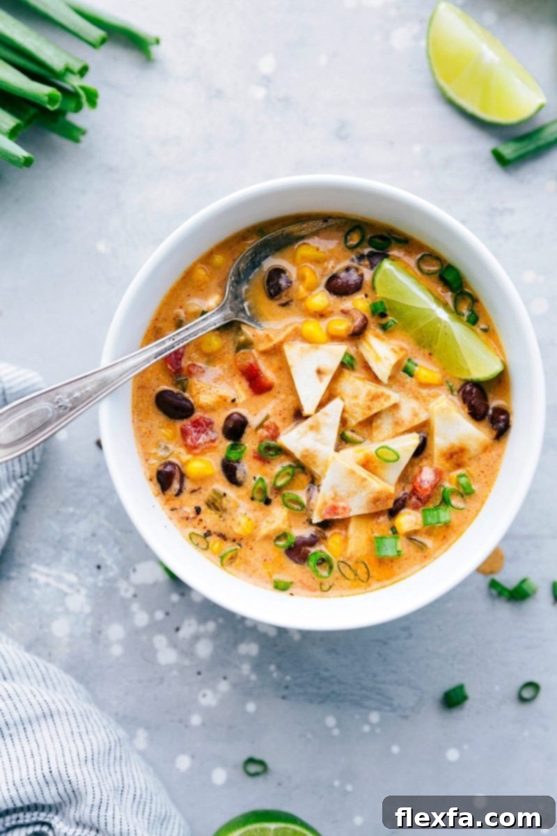The BEST EVER Spicy Chicken Quesadilla Soup recipe! Dump it and forget about it and then serve with 2-ingredient quesadilla croutons! via chelseasmessyapron.com Image of the ready to eat cheesy chicken quesadilla soup recipe