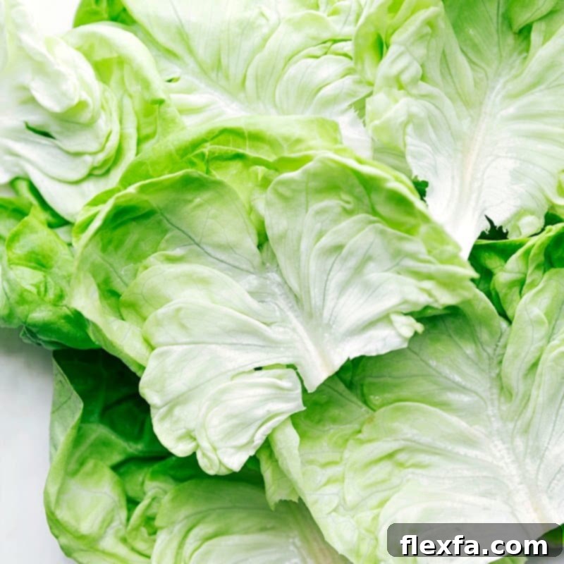 Savory Beef Lettuce Cups 2 Crisp, fresh butter lettuce leaves used in these ground beef lettuce wraps, ready to be filled and rolled with flavorful ground beef mixture.
